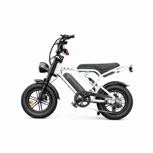 X80 MINI Fatbike